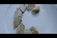 生腌生糟~每个吃货都有个铁打的胃~~这波生猛海鲜你吃得下么？