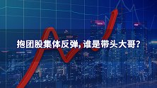 抱团股集体反弹，谁是带头大哥？