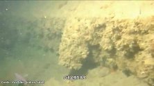 流入大海泥沙神秘消失，原来地球已被19000公里长的裂缝割开