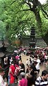 普陀山【法雨禅寺】