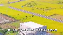 浙江龙游放大招：生肖属“龙”或姓“龙”游客，有机会免费吃住游