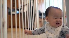狗狗想和宝宝玩，却被栅栏隔开，急得狗狗咬栏杆