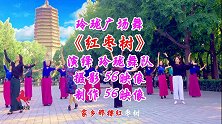 玲珑广场舞《红枣树》崔老师领舞太美了，舞姿好专业！