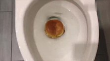 老外将非牛顿流体塞满马桶，按下冲水按钮瞬间，画面美得不敢看！