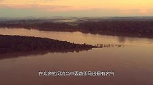 亚马逊河到底有多可怕？为什么当地人都不敢在亚马逊河中游泳？