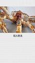 世界顶级海鲜冷知识，这条鱼卖到1000多万！