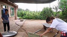 晓儿做素馅饺子，比肉还香，奶奶虽然口上说不吃，心里却乐开了花