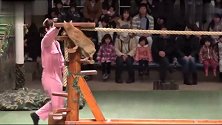 三只猫表演节目，网友：这么高冷的猫咪能训练的这么听话，太棒了