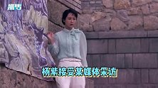 杨紫自曝曾惨遭换角副导演深夜敲门，说投资方女儿要演这个角色