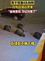 西藏那曲：男子夜遇4头狗熊寻找食物淡定拍视频