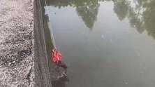 广东广州：爷孙俩钓鱼被困桥底！危急时刻，他们来了