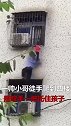 孩子头卡四楼防盗窗，生死关头，帅小哥徒手爬楼救人！