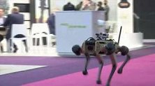 法国：巴黎国际军警设备展开幕，超灵活机器狗赚足眼球