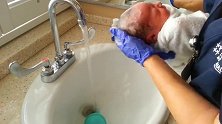 护士给新生宝宝洗头，仔细揉搓后还要用梳子梳，十分的用心