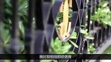 七上八下，九死一生，买房这样选楼层背后逻辑是什么