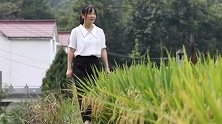 26岁女大学生回乡当村主任：被村民质疑，带动经济增长近50万