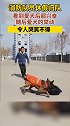 消防队员休假归队，看到爱犬后超兴奋，随后爱犬的举动令人哭笑不得消防员 警犬