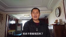 给虎子买了个最大号的狗笼子，每天最少遛三次，暂时只能委屈它了