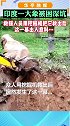 印度一大象被困深坑，救援人员用挖掘机把它救出后，这一幕出人意料…  动物