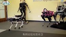 老外发明步行机器人，不用电脑控制，放在地上便会自己行走