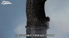 浓硫酸终于遇到对手了，将锁放入硫酸中，下一秒画面太刺激！
