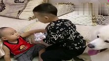 子墨和弟弟说话，旁边萨摩哈哈的反应可爱了