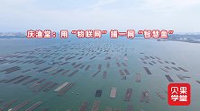 渔业数智化运营！仓养一体科学养鱼，会给养殖户带来啥改变？