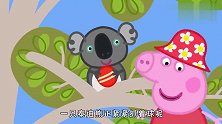 佩奇在树上拿板球，居然发现了一只考拉，她以为是泰迪熊！