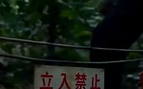 日本“迷失森林”，进去的人不是自杀就是饿死，看科学家怎么说？