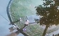 残忍！凌晨宠物狗被主人活活打死 主人：太凶想教训一下