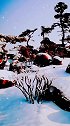 2019年一帆风顺