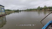 你见过赶鱼吗,北大荒渔民起网先赶鱼，解密渔民养鱼防偷技巧