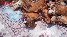 冀东沿海渔村的家常饭，各种海鲜齐上餐桌，螃蟹就有好几种真奢侈