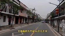 鹰潭市余江区潢溪镇街景，韬奋故乡，这里有你熟悉的地方吗？