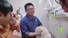 男主人因工作繁忙，只能将爱犬寄养在宠物店，相处时间少之甚少