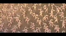 太极拳申遗成功！回顾北京奥运开幕式太极表演有多震撼