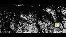 20170908-揭秘福建民间线狮技艺-看鉴地理101集