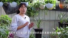 教你如何计算兰花植料的含水量，学会了，就能准确把握浇水时机