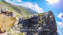 男子从千米高空跳伞，不料突遭老鹰的袭击，镜头记录下全过程！
