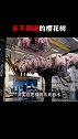 永不凋谢的樱花树。