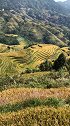 淡淡的秋韵，淡淡的忧伤～广西龙胜龙脊梯田