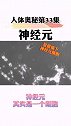 科普 所有智慧生物的神经系统都十分复杂涨知识 冷知识