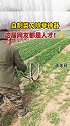 网友用菜刀和废自行车自制除草神器：好用又省钱 农业种植