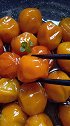 止咳化痰就靠它了
