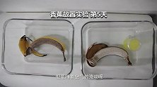 空气凝胶消毒能力到底有多强？看到和酒精的对比，果断扔掉酒精