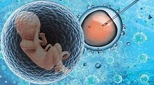 大龄女性做试管需要攒胚胎吗？