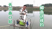 天气越来越冷，钓鱼时线组和调钓学会这样做，既灵敏中鱼率又高