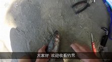 男子赶海发现水中有条渔网，拉起一看心都要碎了！