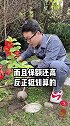 该怎么给家里老人买保险呢？ 保险  老人保险  轻知识计划