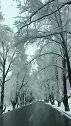 冬天的川藏线—新都桥雪景